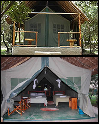 Masai Mara Joining Safari Camp Tent with Hot Shower and Flash Toilet